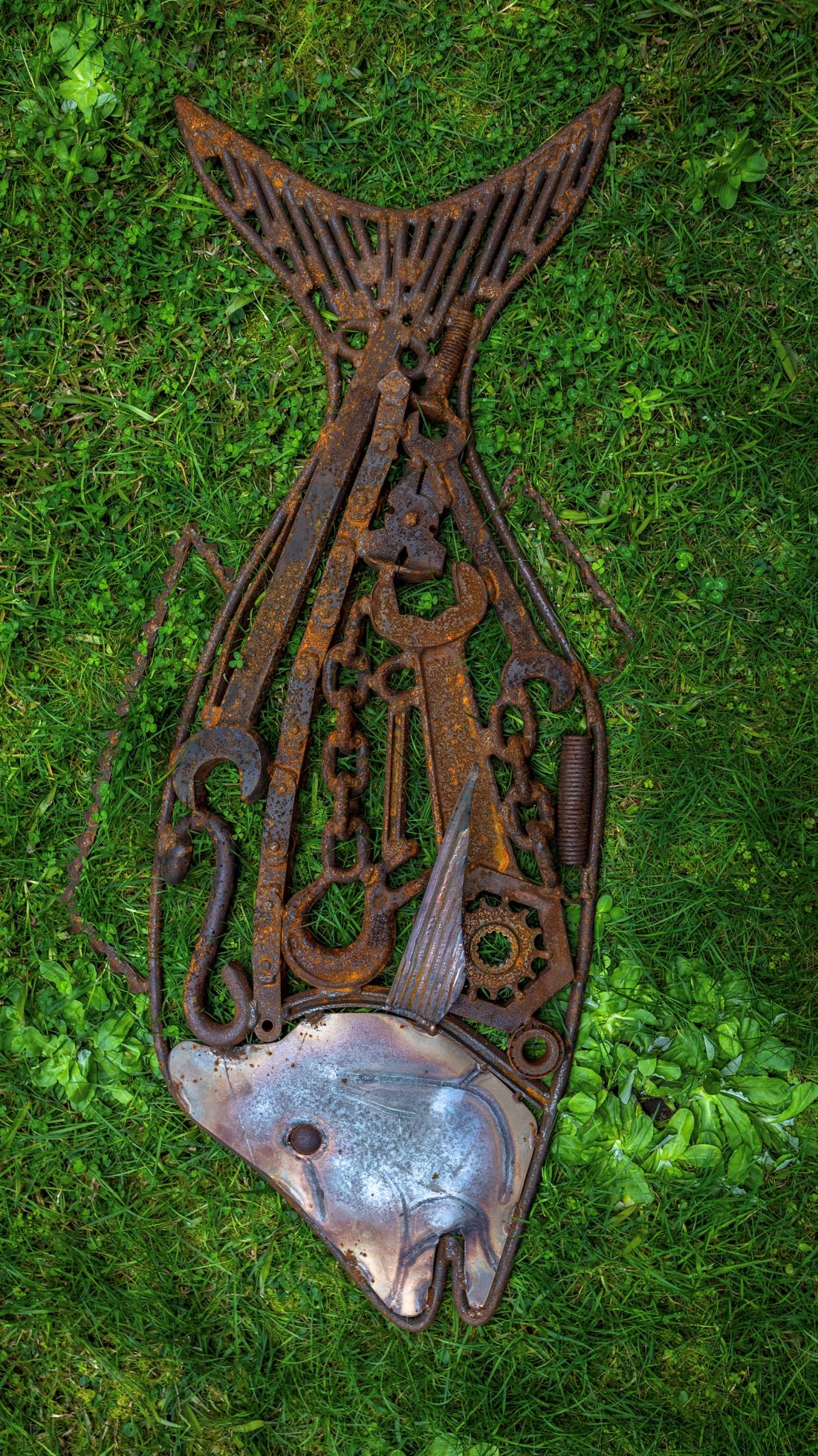 images/SNAPPER TEST1.jpg